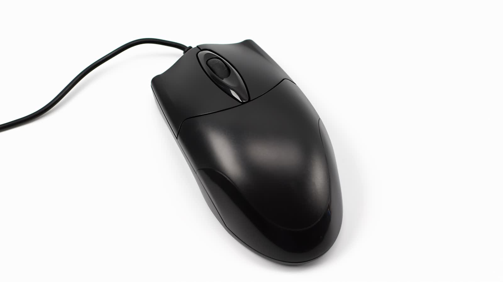 A black wired mouse on a plain white background